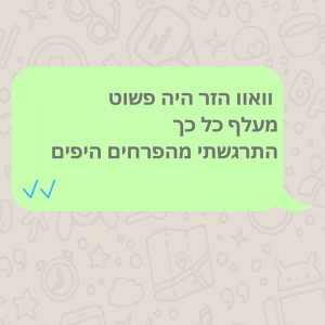 אין על הזרי פרחים שלכם